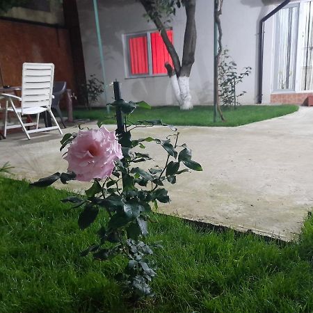 Cazare La Mare Patrascu Apartment Constanta Luaran gambar